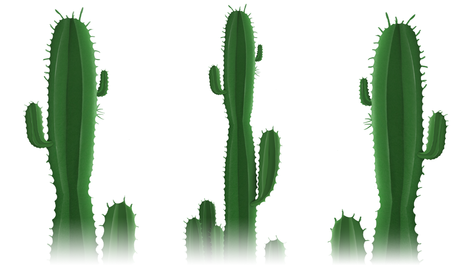Cactus - Euphorbia