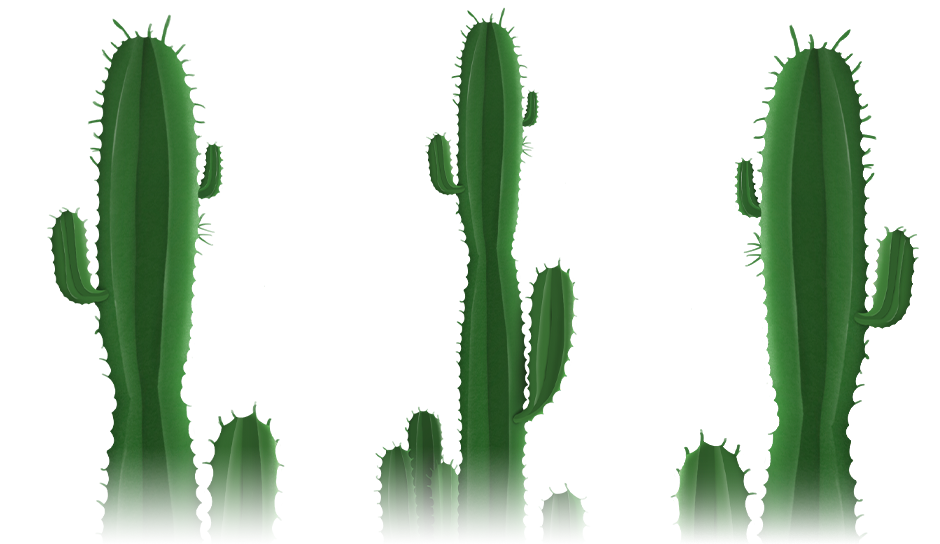 Cactus