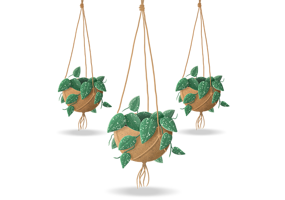 Hangplanten