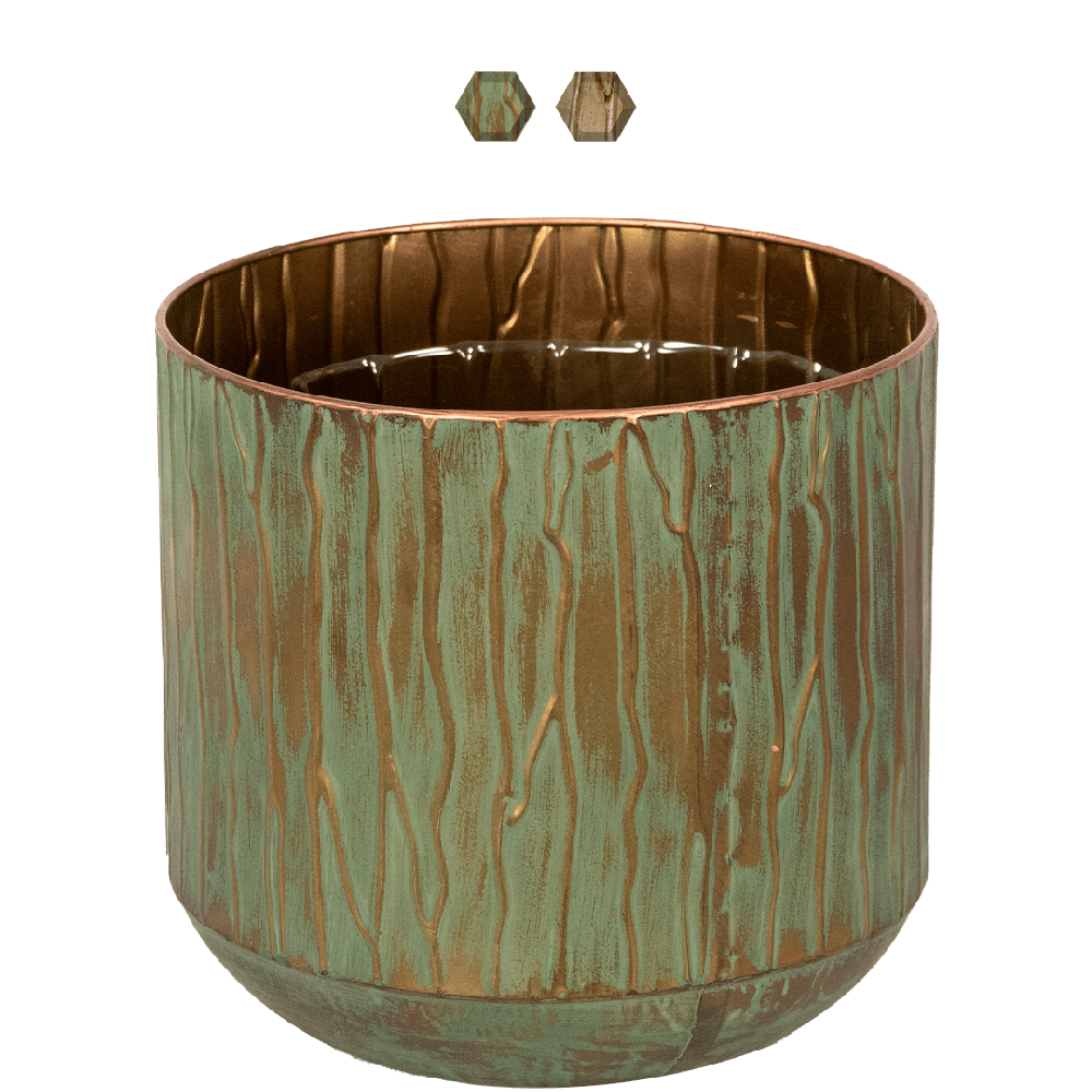 Caro-ter-steege-groen-15cm