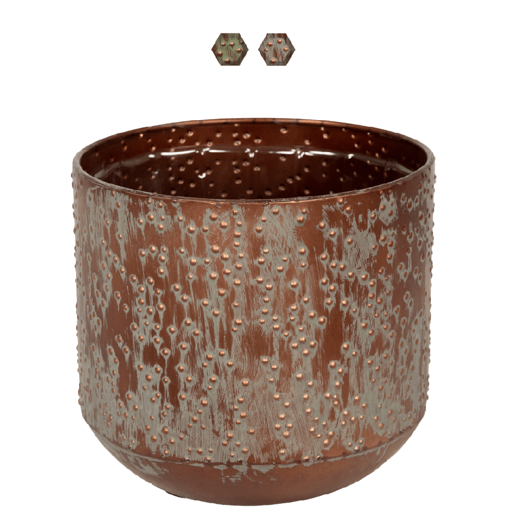 Lian-ter-steege-koper-13cm 1