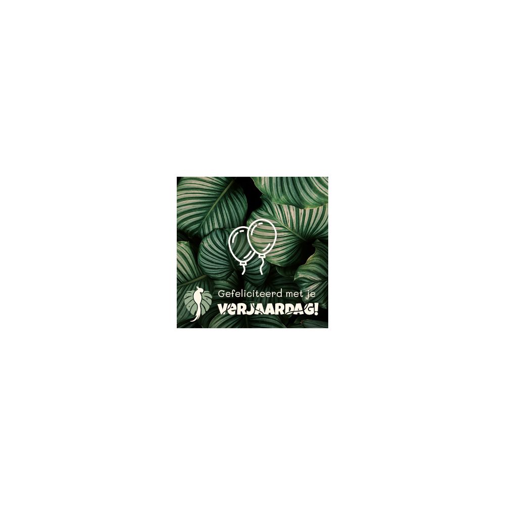 Maj-kaartje-verjaardag