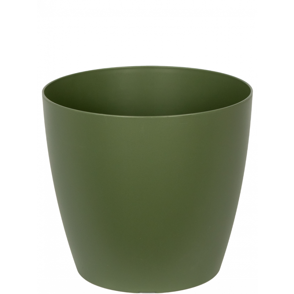 San-remo-groen-25cm