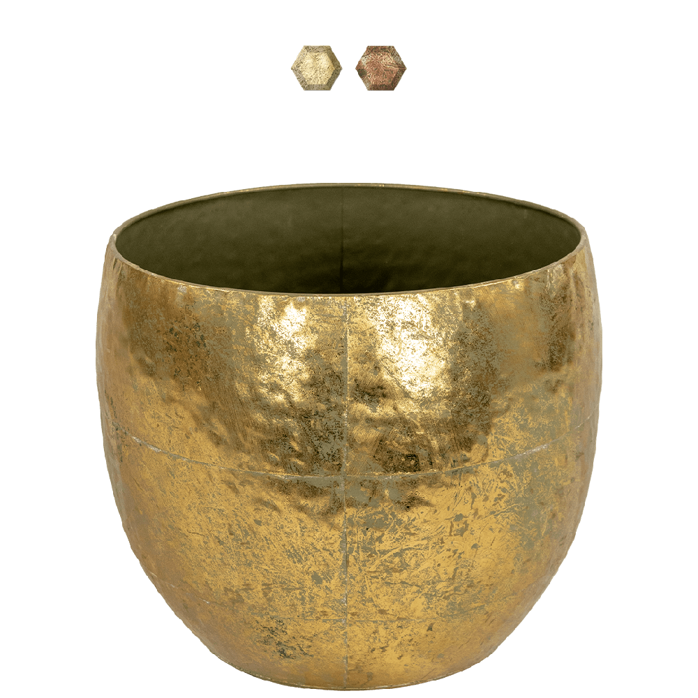 Thomas-ter-steege-goud-28cm 1