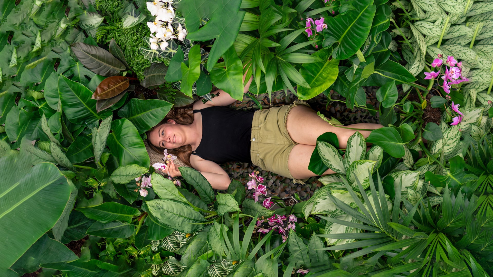 make-a-jungle-kamerplanten-kopen make-a-jungle-kamerplanten-kopen