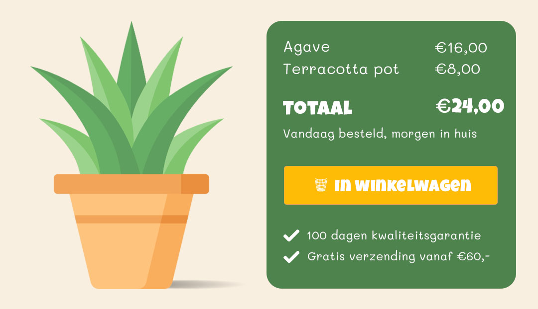 bestellen stap 2 bestellen stap 2