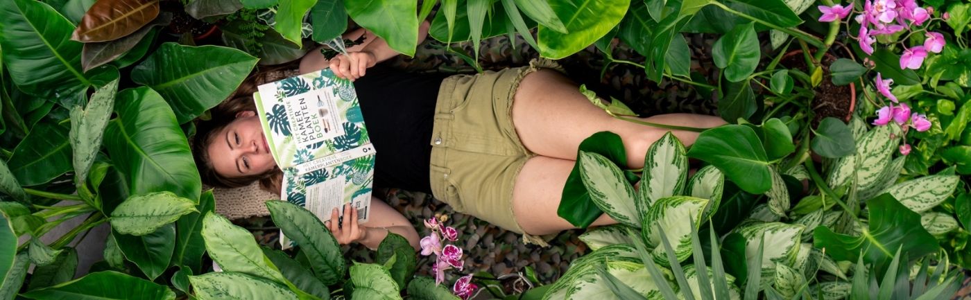 De 5 beste slaapkamer planten voor jouw urban jungle